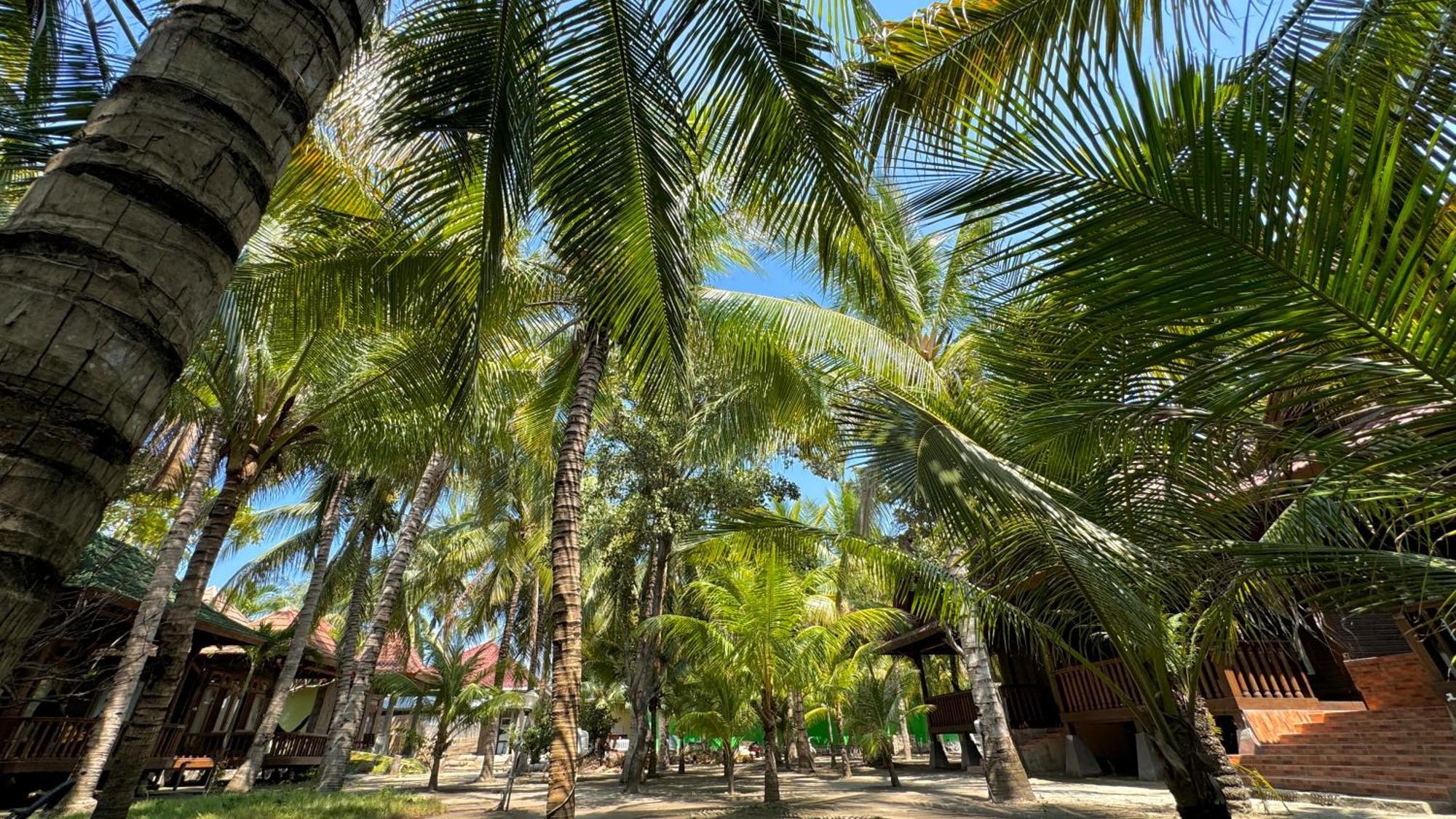 Bronze Bungalows Gili Meno Zewnętrze zdjęcie